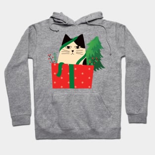 Funny Grumpy Christmas Cat Hoodie